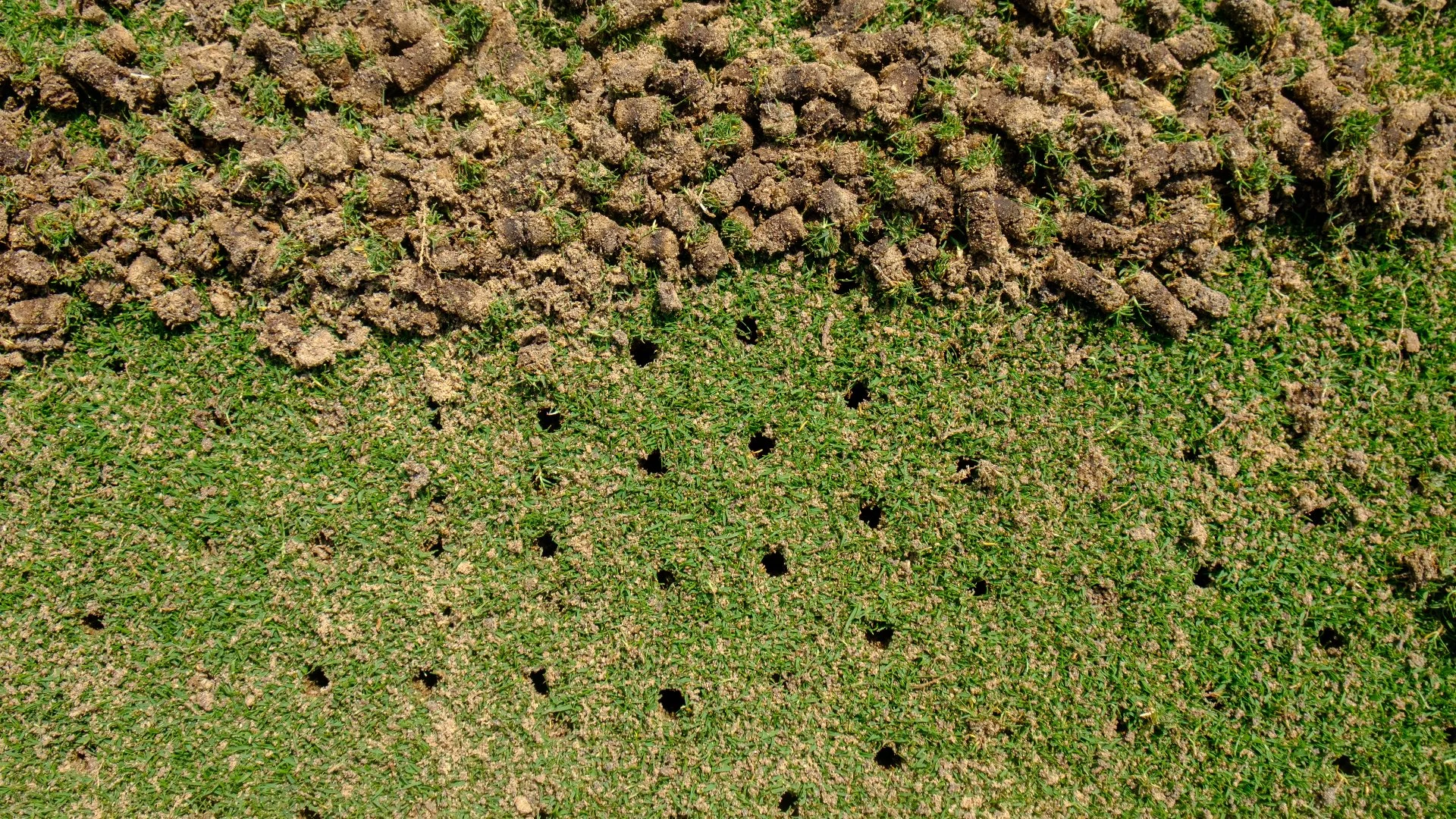 Make Sure Aeration Is on Your Lawn Care To-Do List in the Fall