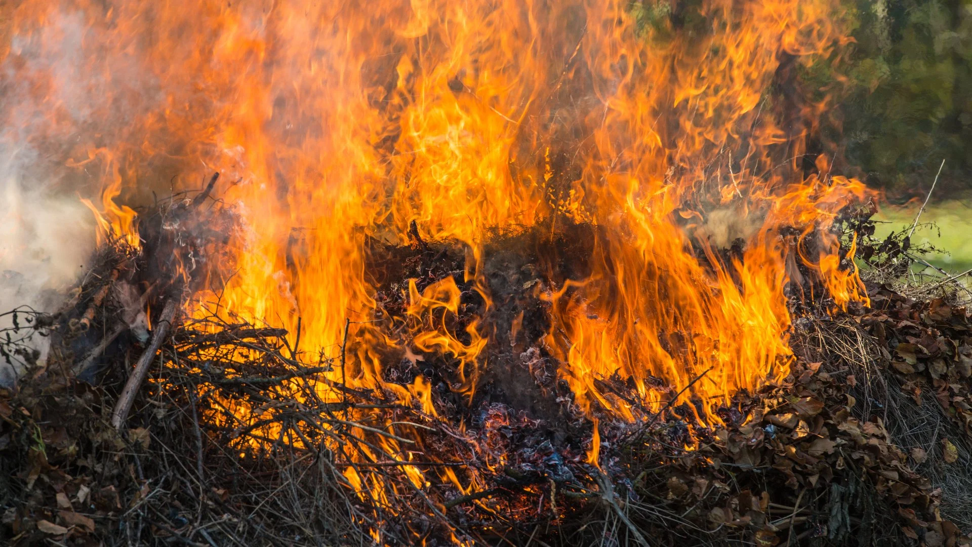 Burning Leaf Piles: Is This Okay in Pennsylvania?