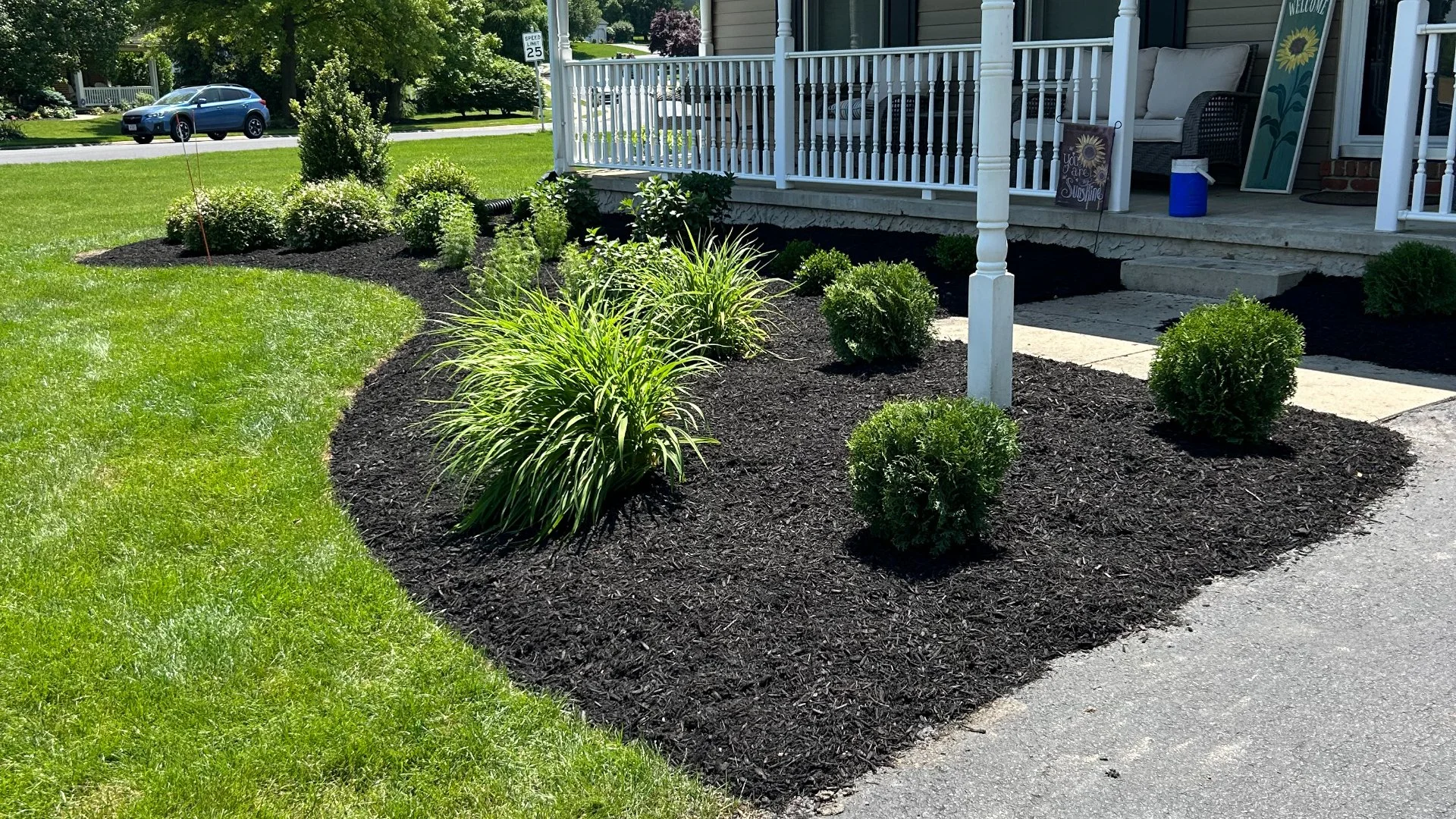 What Does a Fall Cleanup Mean in Lawn Care?