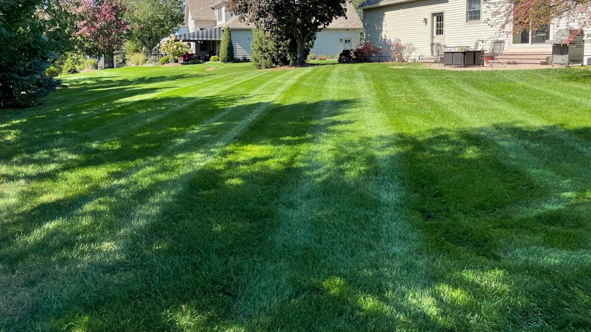 Aeration & Overseeding: Pair These Services for the Best Results