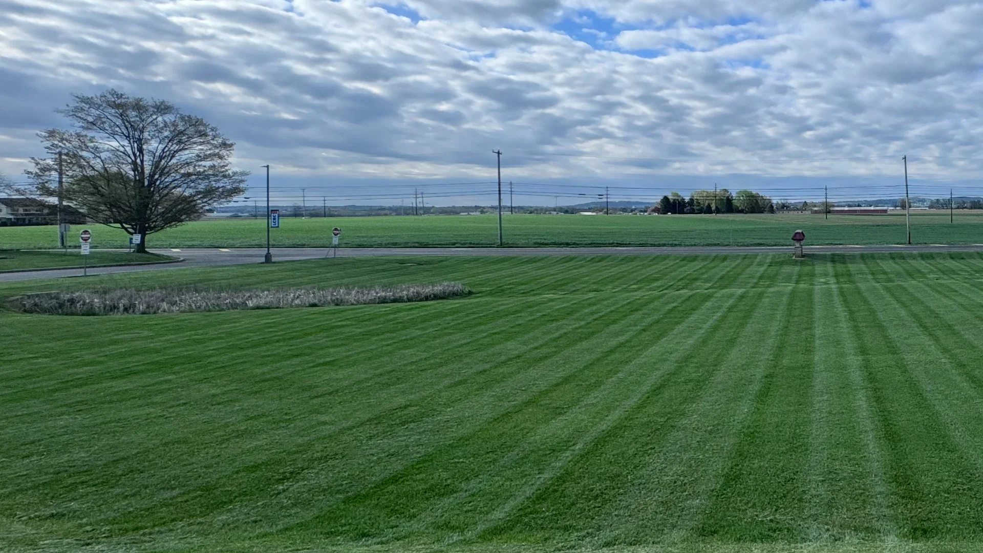 Prepare Your Lawn in Lancaster, PA, for Spring Fertilization by Mowing