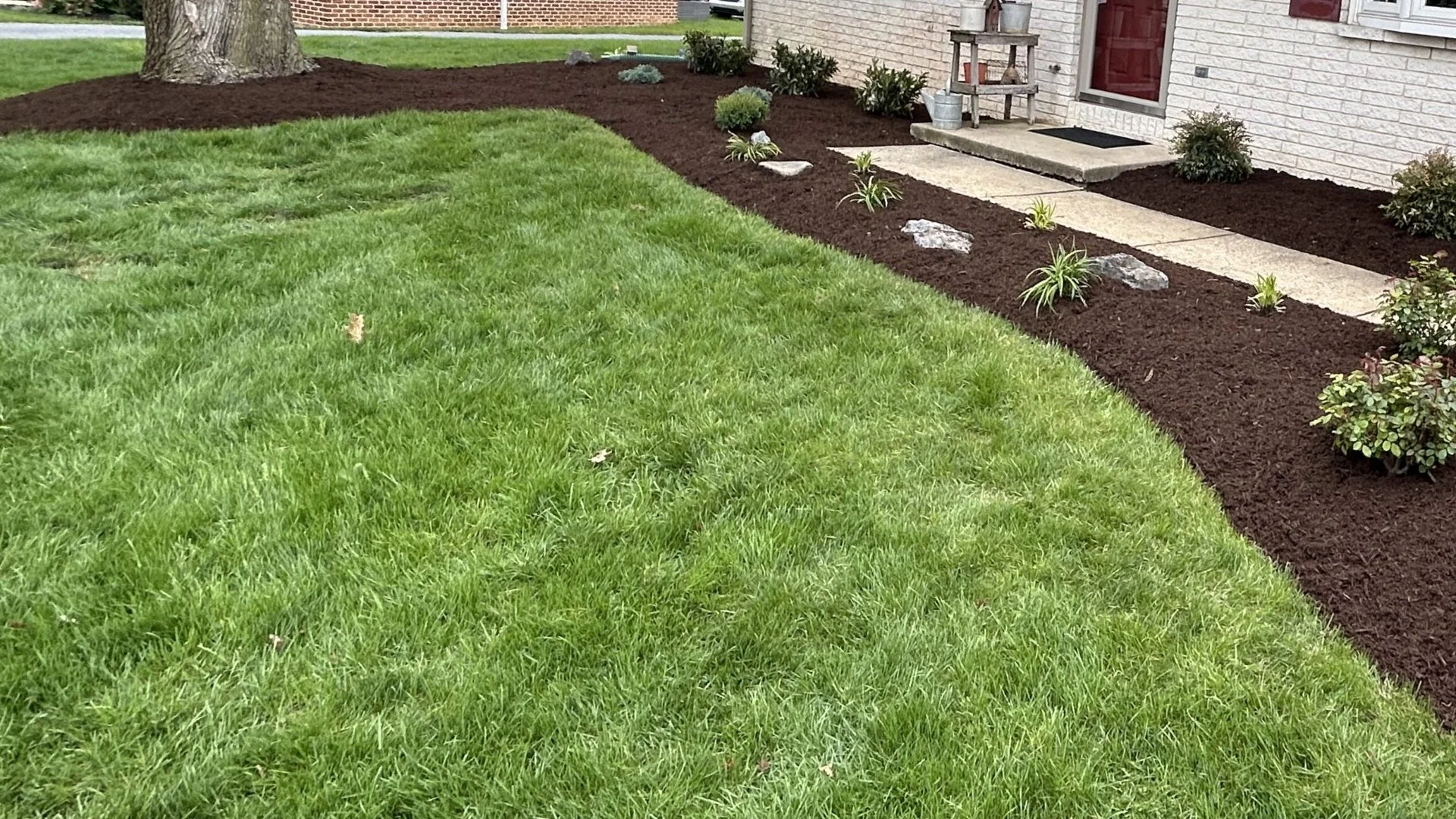 Ensure Optimal Grass Health by Pairing Fertilization & Weed Control