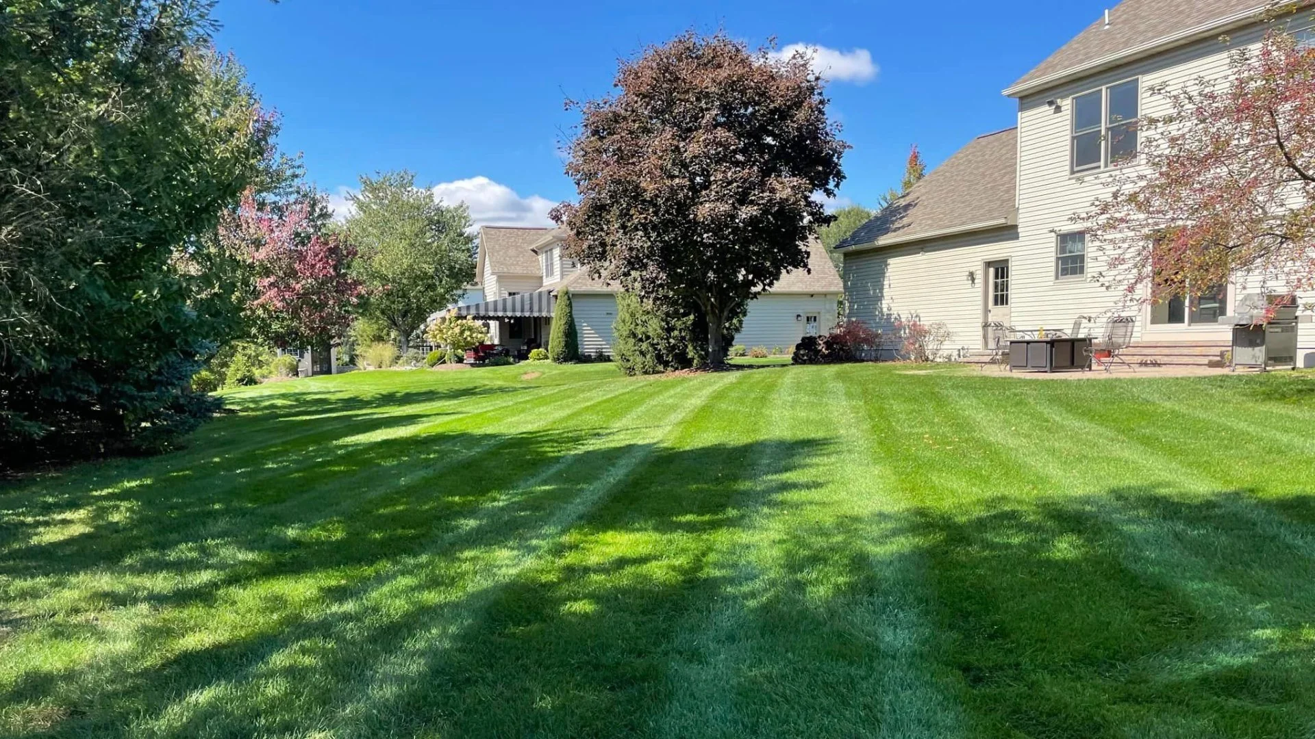 Avoid Fertilizing Your Lawn Too Early in the Spring!