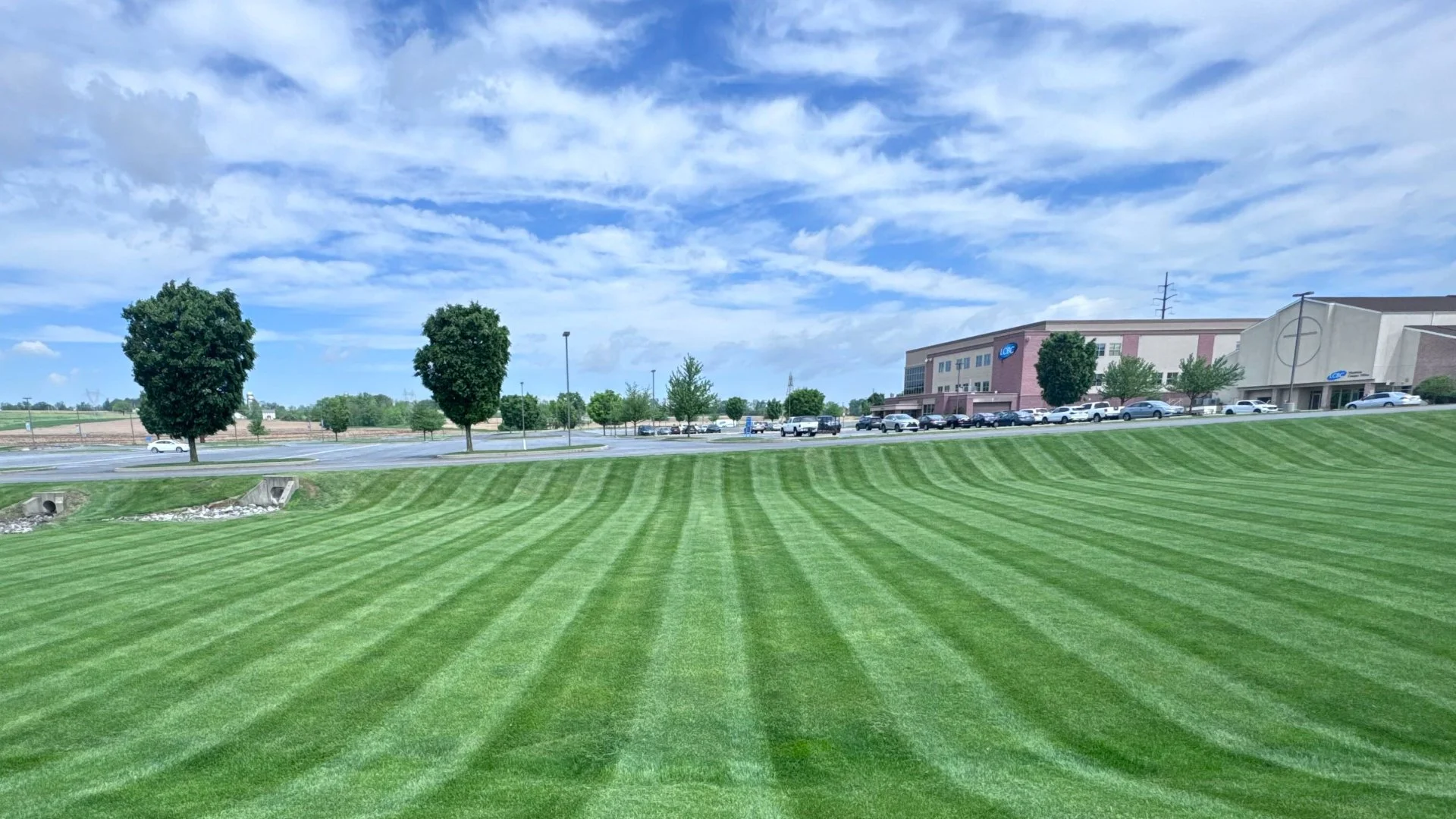 Wet Lawns & Mowing Don't Mix! Wait Until It's Dry After Rainfall