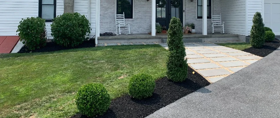 Clean front yard in Manheim, PA, with green grass and shrubs.