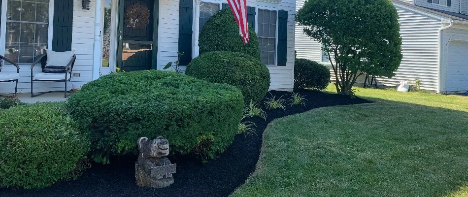 Yard in Lititz, PA, with dense green shrubs.