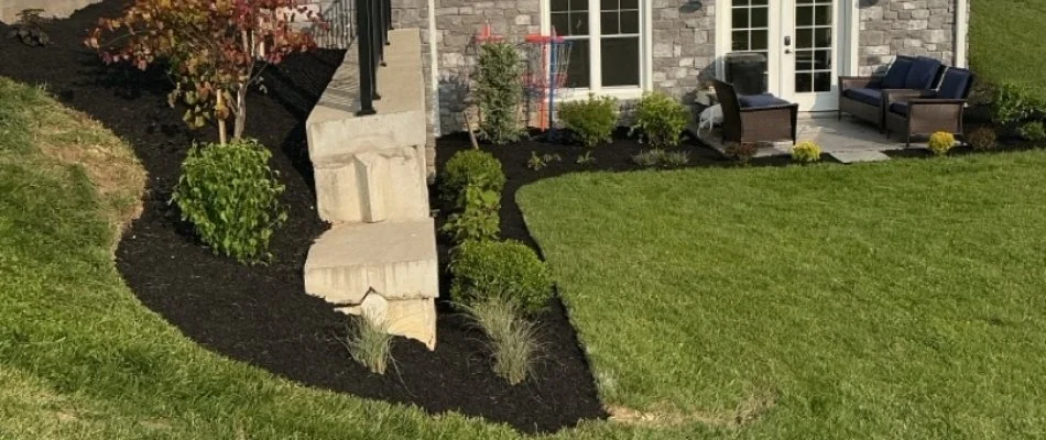 Landscape bed next to a lawn in Lititz, PA.