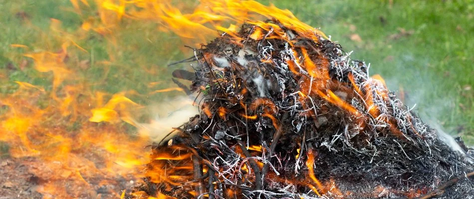 Fire and smoke from burning a leaf pile in Pennsylvania.