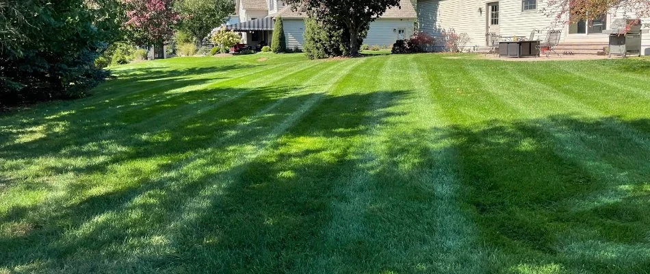 Backyard in Lititz, PA, with healthy grass in partial shade.