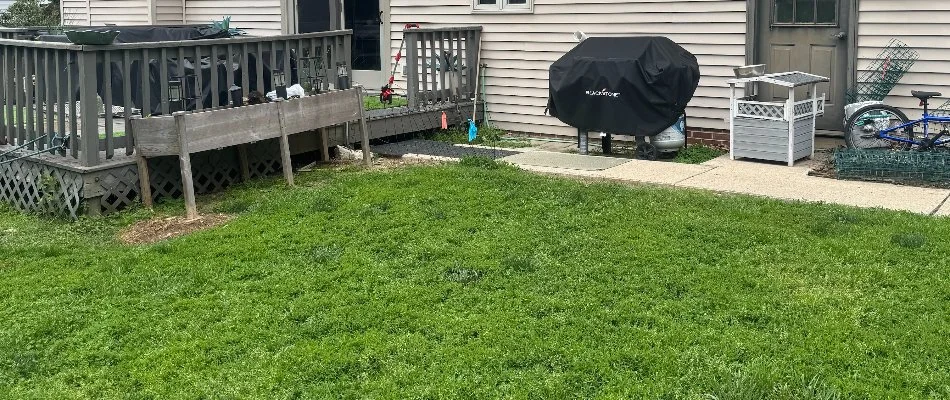 Backyard in Lititz, PA, with a small deck before a patio install.