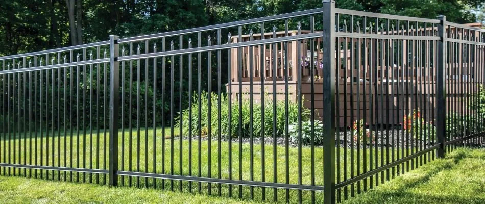 Black aluminum fence separating yards in Lititz, PA.