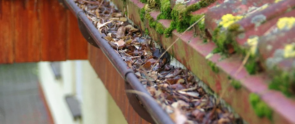 Debris in a gutter in Lititz, PA.