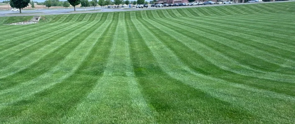 Green grass in Leacock Township, PA, with a mowing pattern.