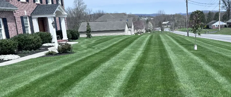 Healthy dense lawn and a house in New Holland, PA.