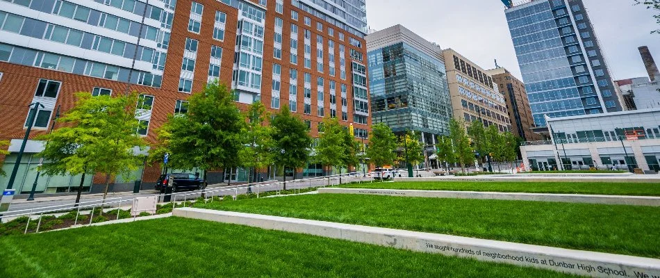 Healthy green grass and tall buildings in Reamstown, PA.