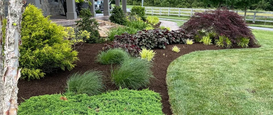 Landscape in East Petersburg, PA, with mulch and small plants.