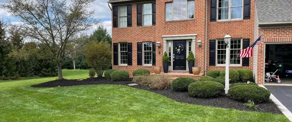 Landscape bed in Leacock Township, PA, with mulch and shrubs near a lawn.