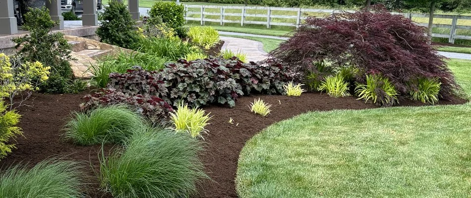 Landscape bed in White Oak, PA, with mulch, shrubs, and plants.