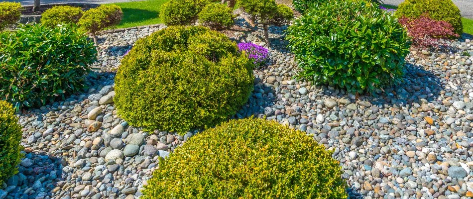 Landscape bed in Lititz, PA, with rocks and shrubs.