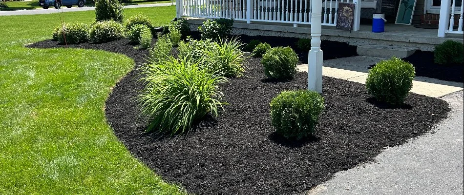 Landscape with black mulch and small green plants in Denver, PA.