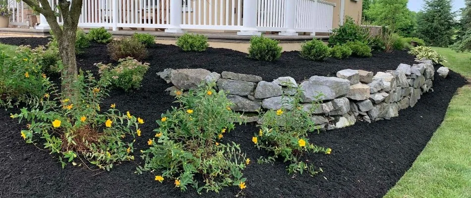 Landscaping in Millersville, PA, with retaining wall, mulch, and plants.