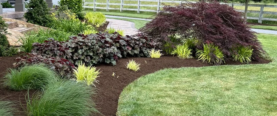 Landscaping in Landisville, PA, with small plants beside a lawn.