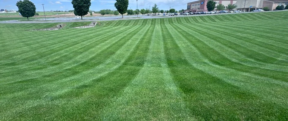 Lawn with stripes on a property in Willow Street, PA.