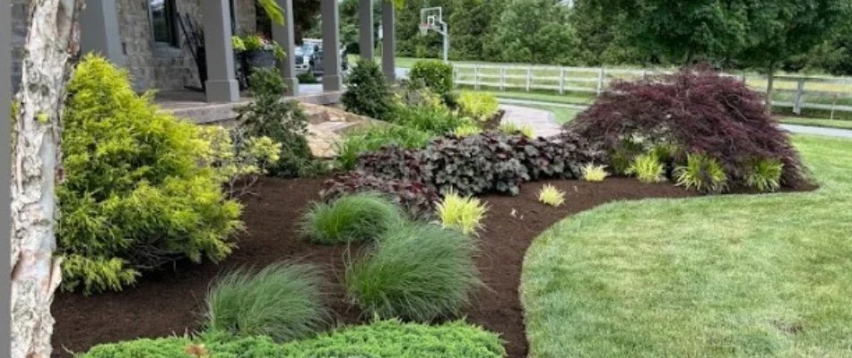 Lawn with nice lawn and landscaping in Lititz, PA.