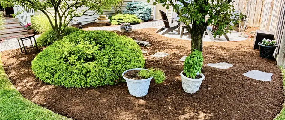 Mulched landscape bed in Brownstown, PA, with plants and a tree.