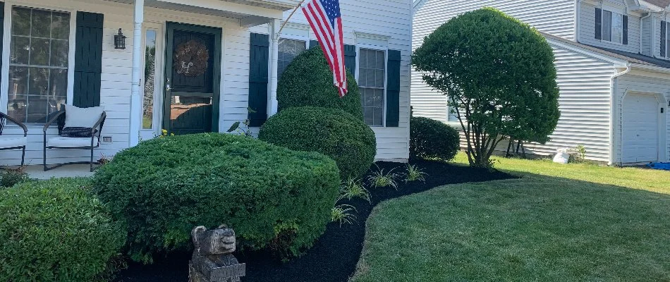 Neat landscape bed in Mount Joy, PA, with mulch, shrubs, and a small tree.