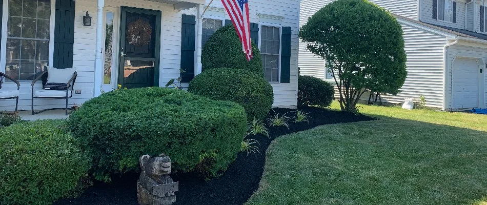 Neatly trimmed shrubs and tree in a mulch bed in Lititz, PA.
