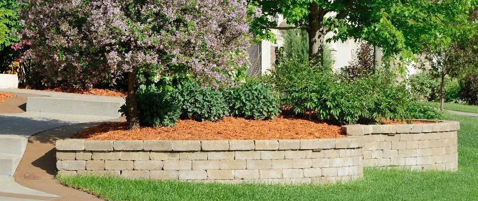 Retaining wall in Lititz, PA, with plants and mulch.