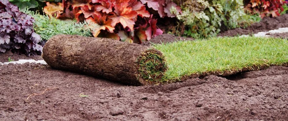Rolling out the sod on the ground in Lititz, PA.