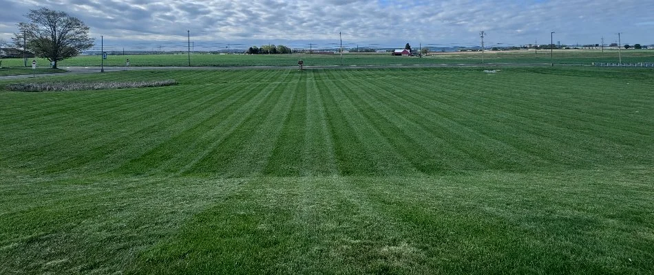 Wide, green lawn in Ephrata, PA, with mowing pattern.